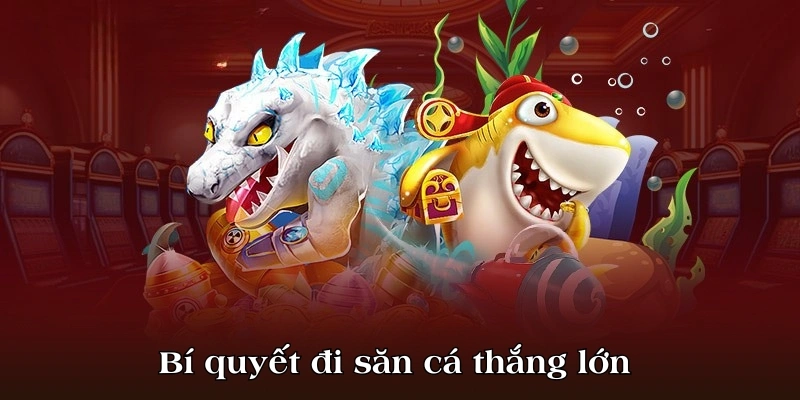 Bí quyết đi săn cá thắng lớn 