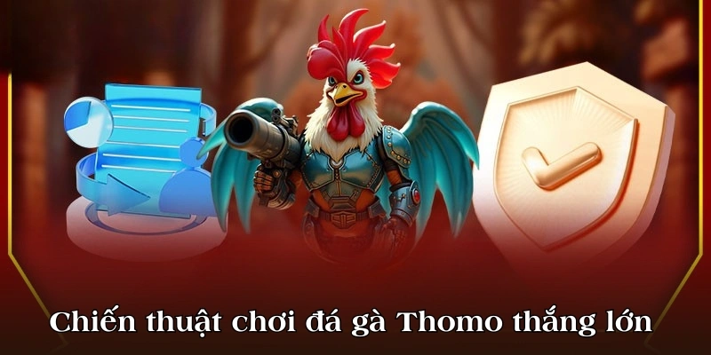 Chiến thuật chơi đá gà thomo thắng lớn 