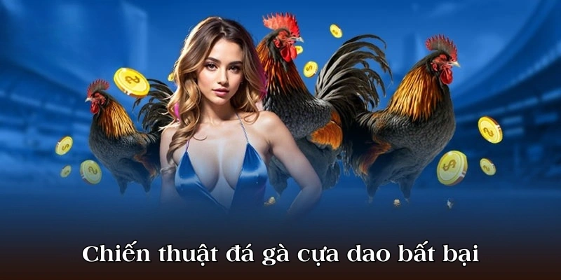 Chiến thuật cá cược đá gà cựa dao bất bại từ cao thủ 