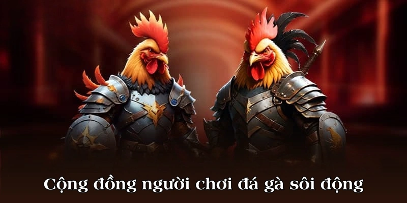 Cộng đồng người chơi sôi động